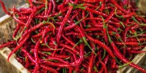 Large box filled with thin spicy red peppers