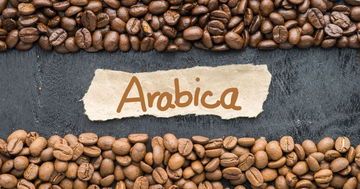 Coffee beans around a piece of cloth with the name Arabica written on it