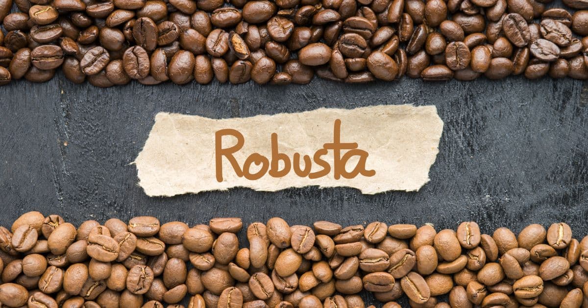 Coffee beans around a piece of cloth with the word Robusta